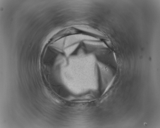 X0000076320148200610272013