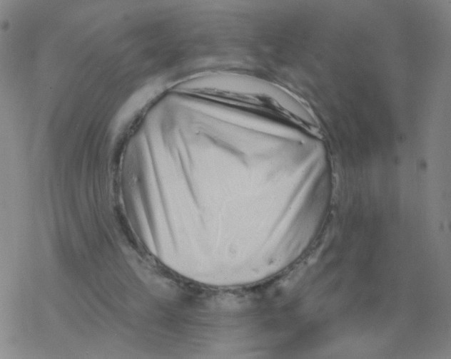 X0000076320149200610272013