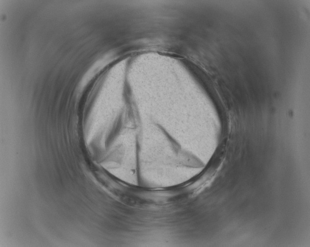 X0000076320150200610272013