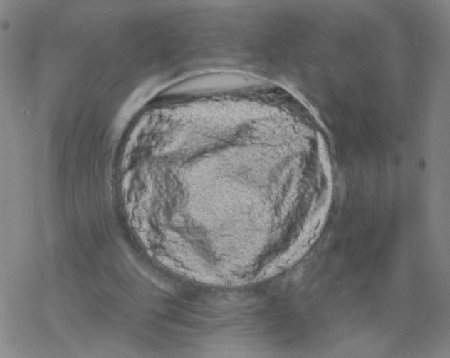 X0000076320151200610272013