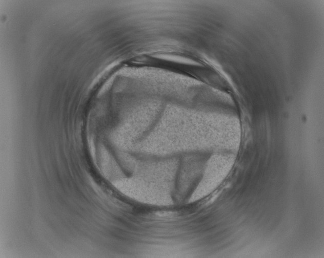 X0000076320154200610272013