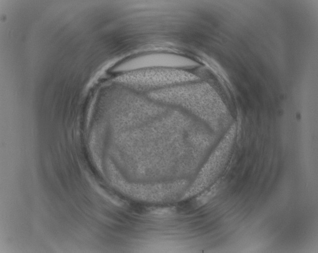 X0000076320155200610272013