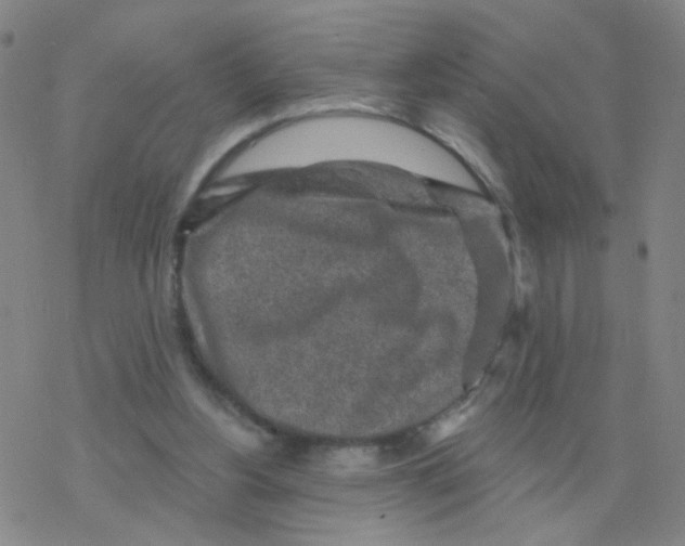 X0000076320156200610272013