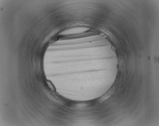 X0000076320158200610272013