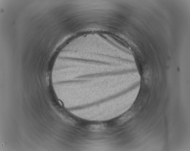 X0000076320160200610272013