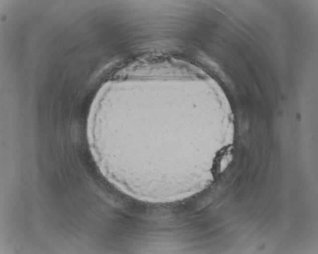 X0000076320161200610272013