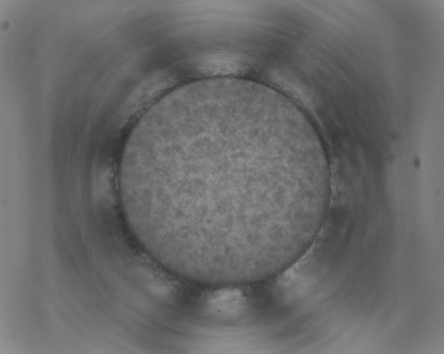 X0000076320162200610272013