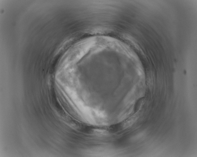 X0000076320167200610272013