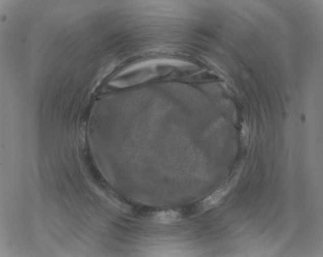 X0000076320168200610272013