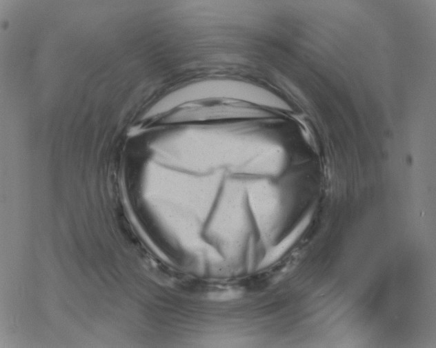 X0000076320169200610272013