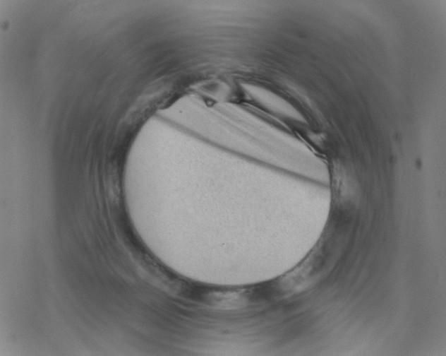 X0000076320170200610272013