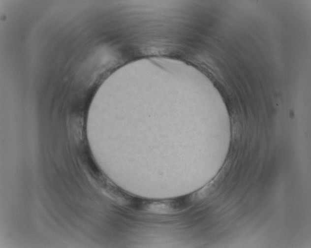 X0000076320171200610272013