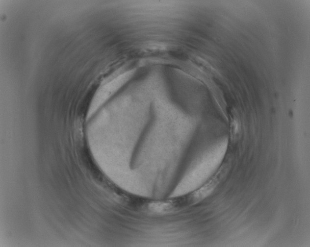 X0000076320172200610272013