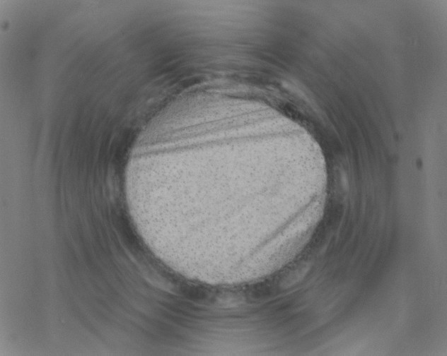 X0000076320173200610272013