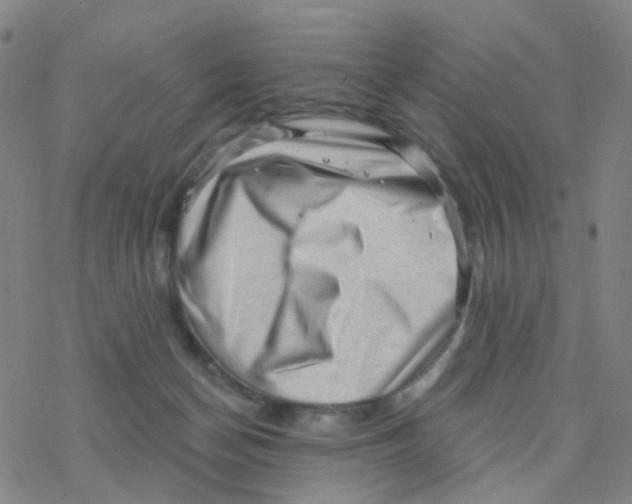 X0000076320174200610272013