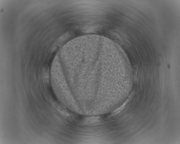 X0000076320179200610272013