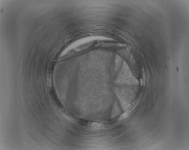 X0000076320180200610272013