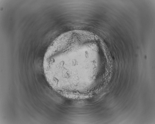 X0000076320181200610272013