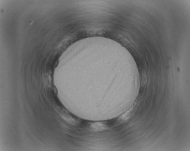 X0000076320183200610272013