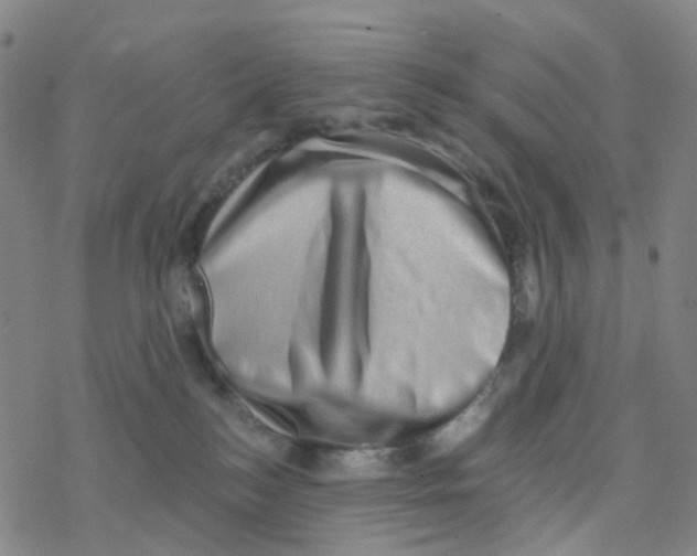 X0000076320184200610272013