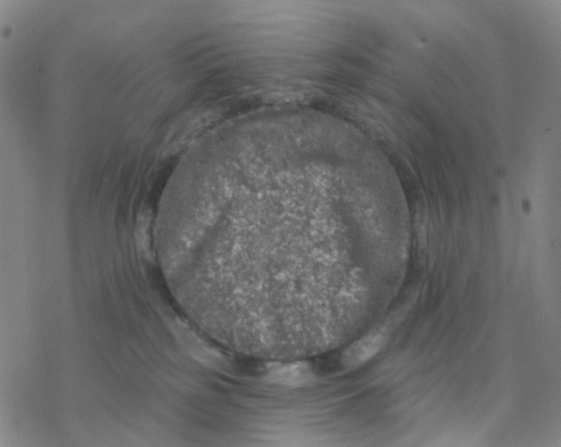 X0000076320185200610272013