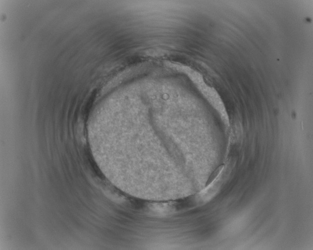 X0000076320187200610272013