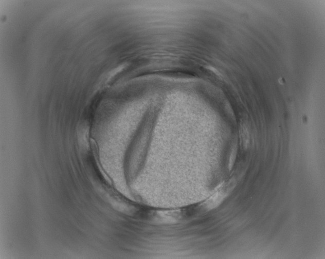 X0000076320188200610272013