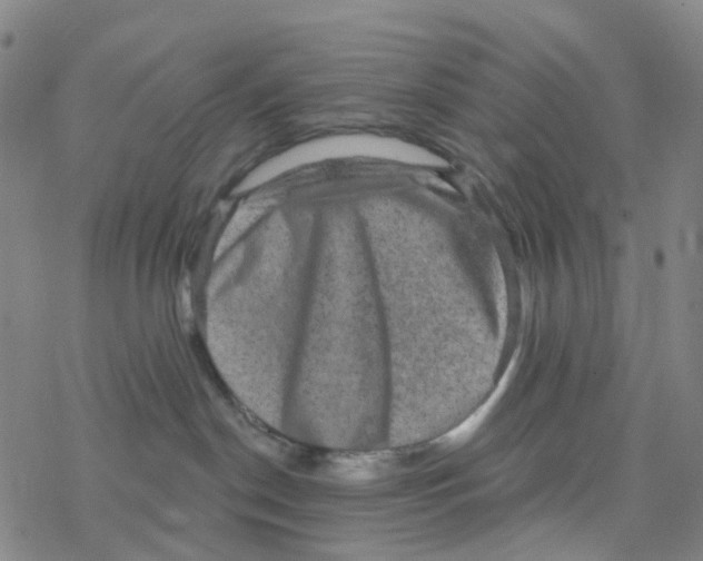 X0000076320190200610272013