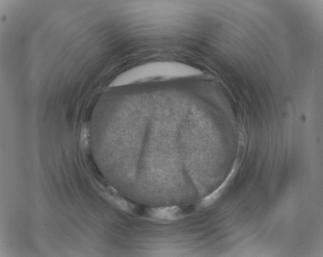 X0000076320191200610272013