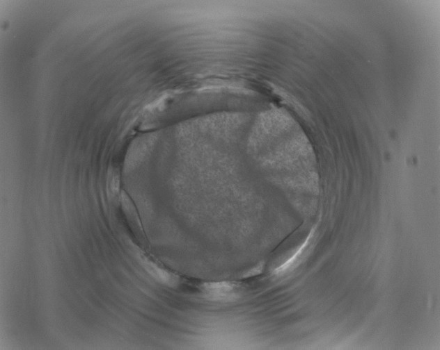 X0000076320192200610272013