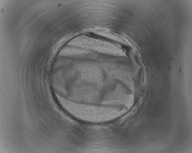 X0000076320193200610272013