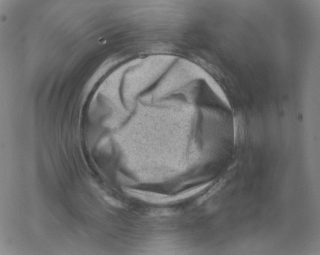 X0000076320195200610272013