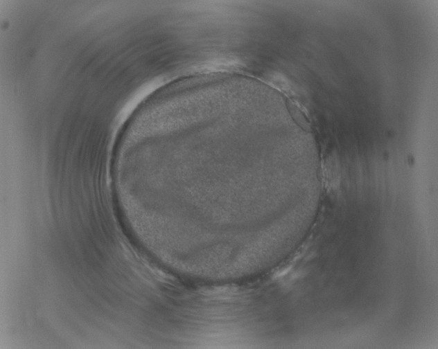 X0000076320196200610272013