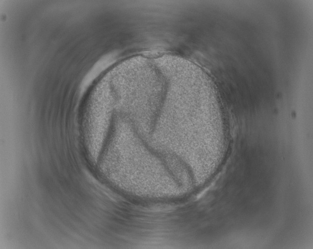 X0000076320198200610272013