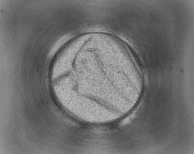 X0000076320199200610272013