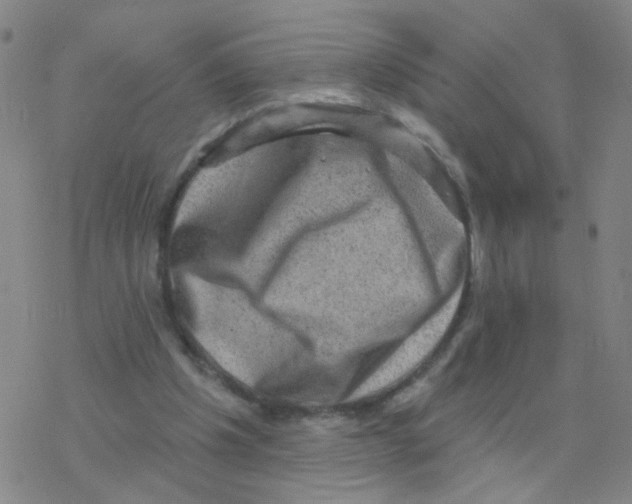 X0000076320201200610272013