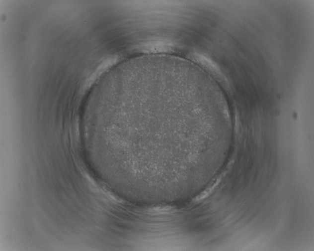 X0000076320202200610272013