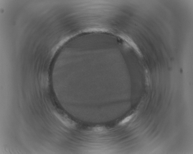 X0000076320204200610272012