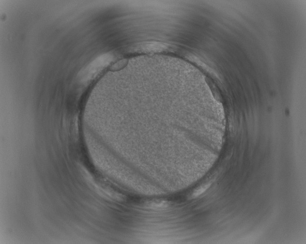 X0000076320206200610272012