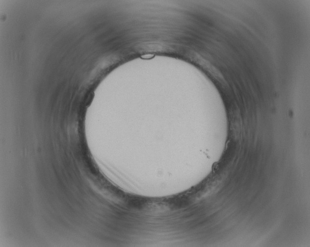 X0000076320207200610272012