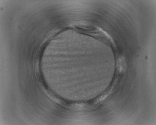 X0000076320209200610272012