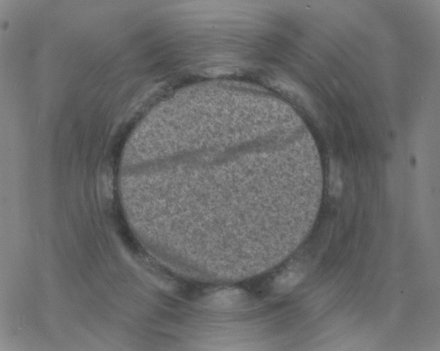 X0000076320210200610272012