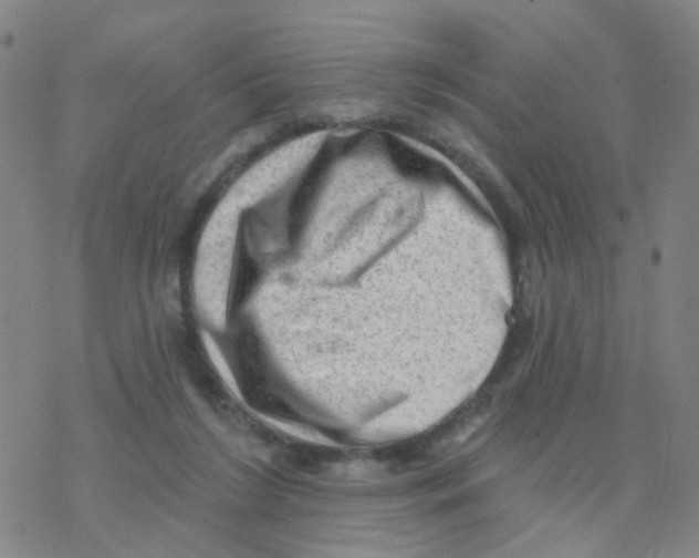 X0000076320212200610272012