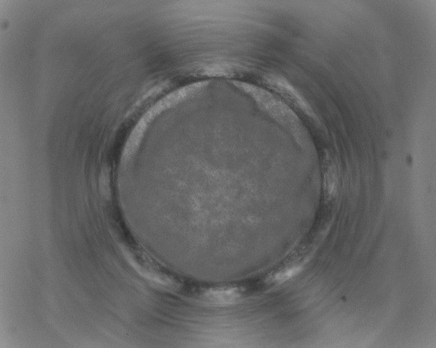 X0000076320213200610272012