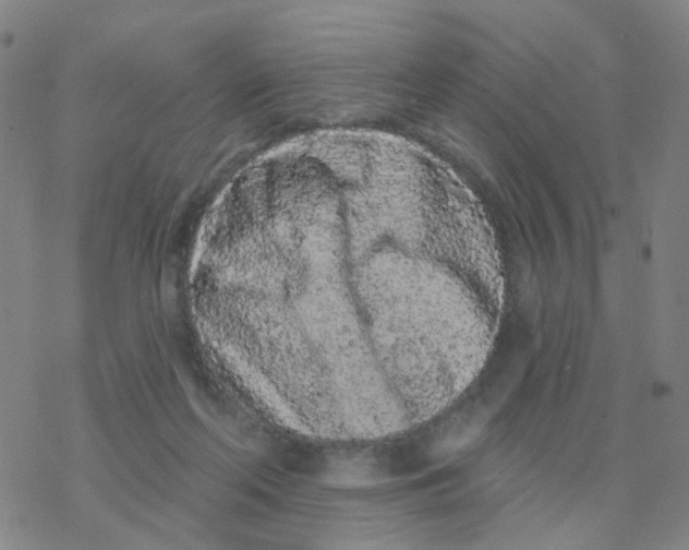 X0000076320214200610272012