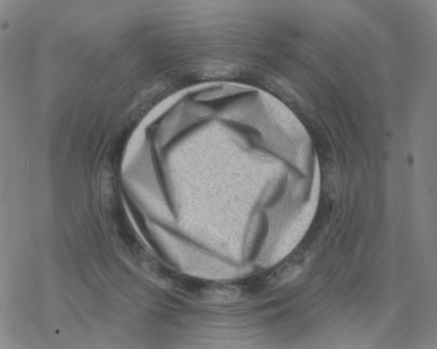 X0000076320215200610272012