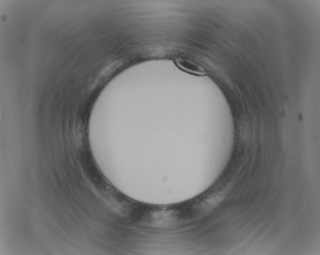 X0000076320216200610272012