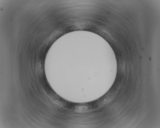 X0000076320220200610272012