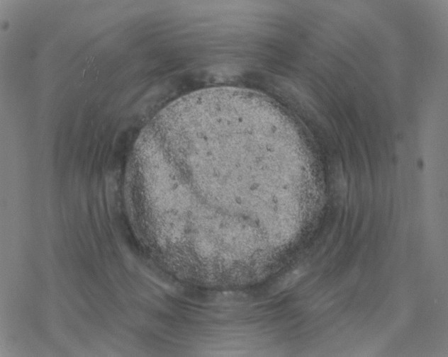 X0000076320222200610272012