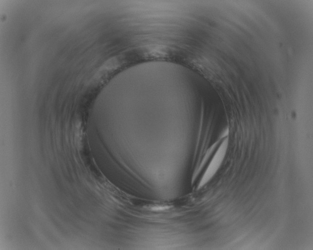 X0000076320223200610272012